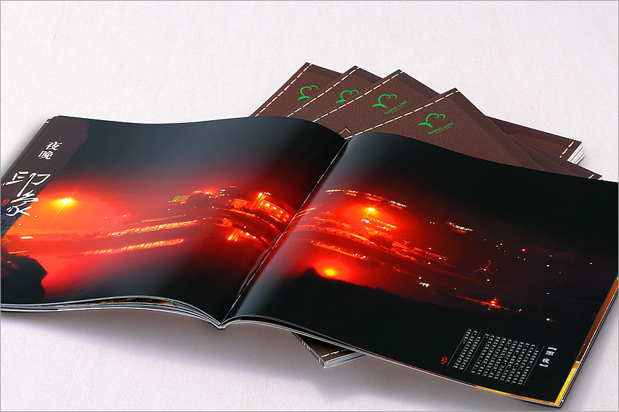 黑眼睛廣告為雁鳴湖旅游度假村印刷的新版大型風光畫冊之內頁雨夜部分